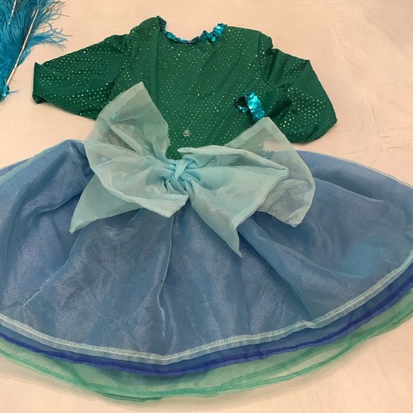 Chasing Fireflies Wishcraft Peackok Costume Sz 6. - Picture 13 of 16